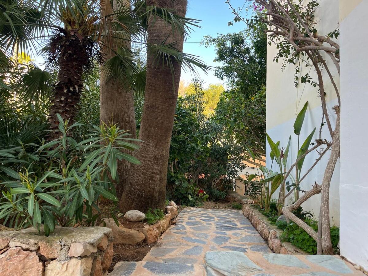 Villa Rosita Ibiza Talamanca  Dış mekan fotoğraf